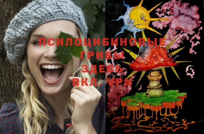 Псилоцибиновые грибы MAGIC MUSHROOMS  hydra маркетплейс  Лысково 